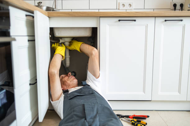 Best Septic Systems  in Craig, CO