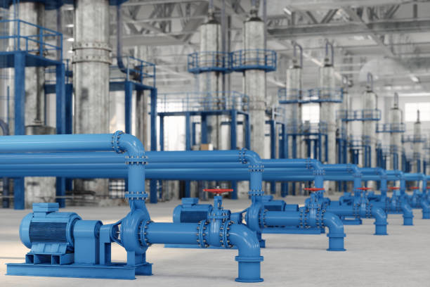 Best Sewer Cleaning Services  in Craig, CO