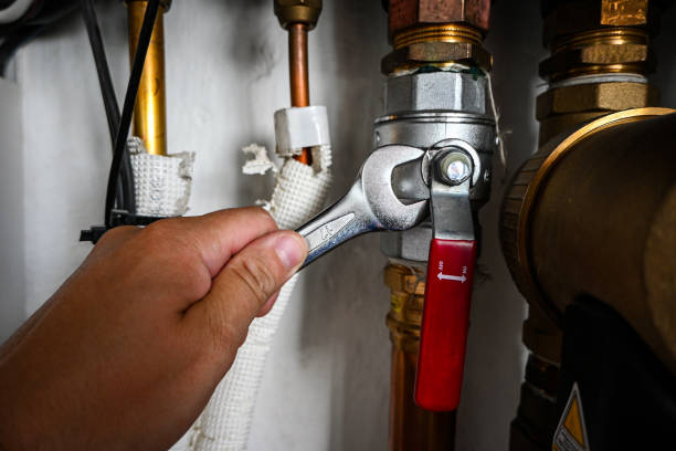 Best Local Plumber Services  in Craig, CO